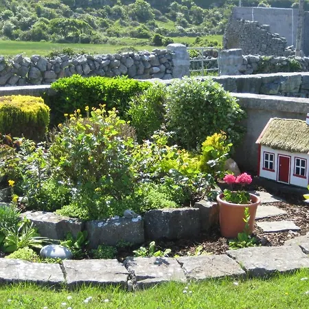 Radharc Na Ceibhe H91 V0y3 3*